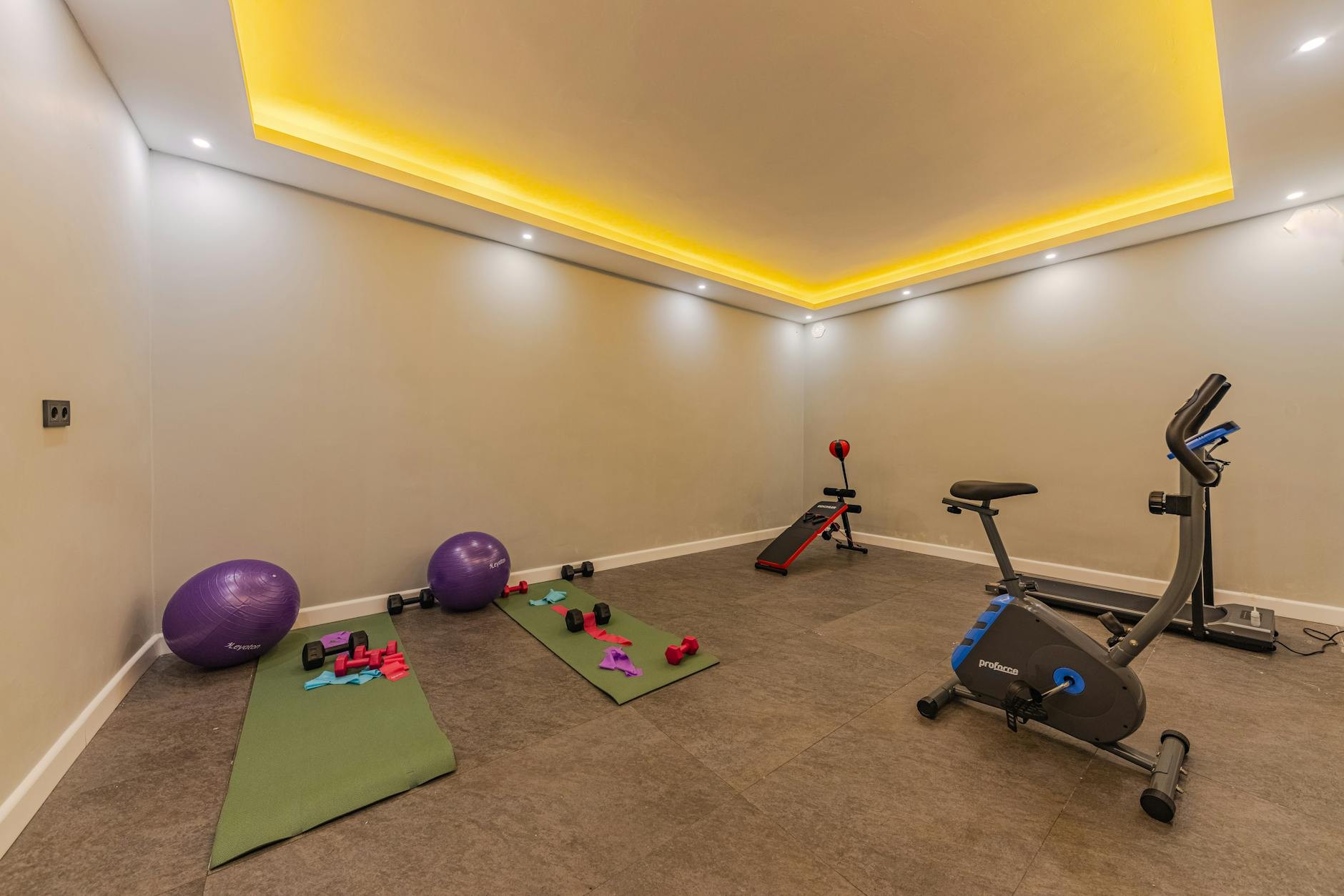 inside she sheds home gym setup ideas - 15 Creative Inside She Sheds Home Gym Setup Ideas to Steal Right Now